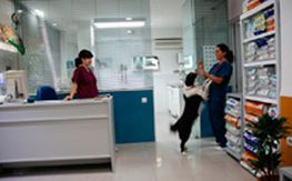 Clínica Veterinaria Versalles veterinaria alimentando a perro