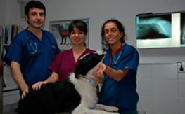 Clínica Veterinaria Versalles veterinarios con perro